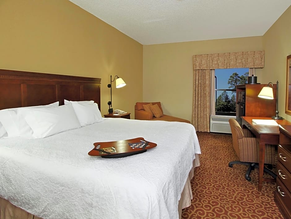 1 King Bed, Mobility Accessible, Roll in Shower — 5 fotoğraftan 1. fotoğraf