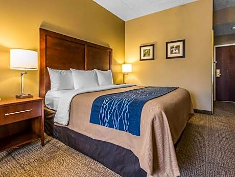 1 King Bed, Nonsmoking, Accessible