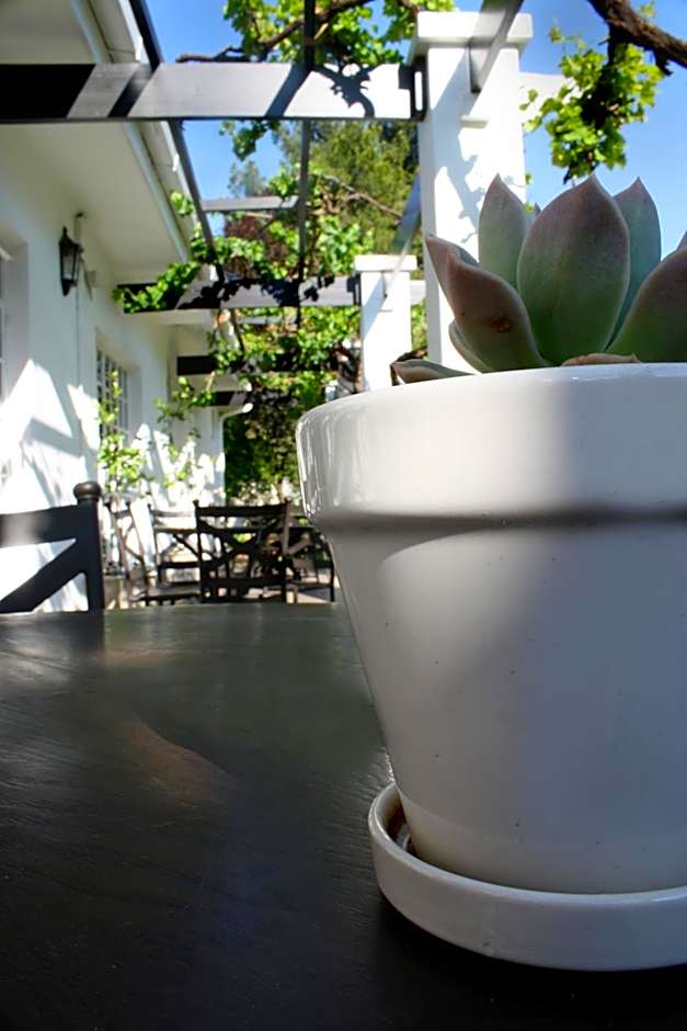 Lemon & Lime Guesthouse