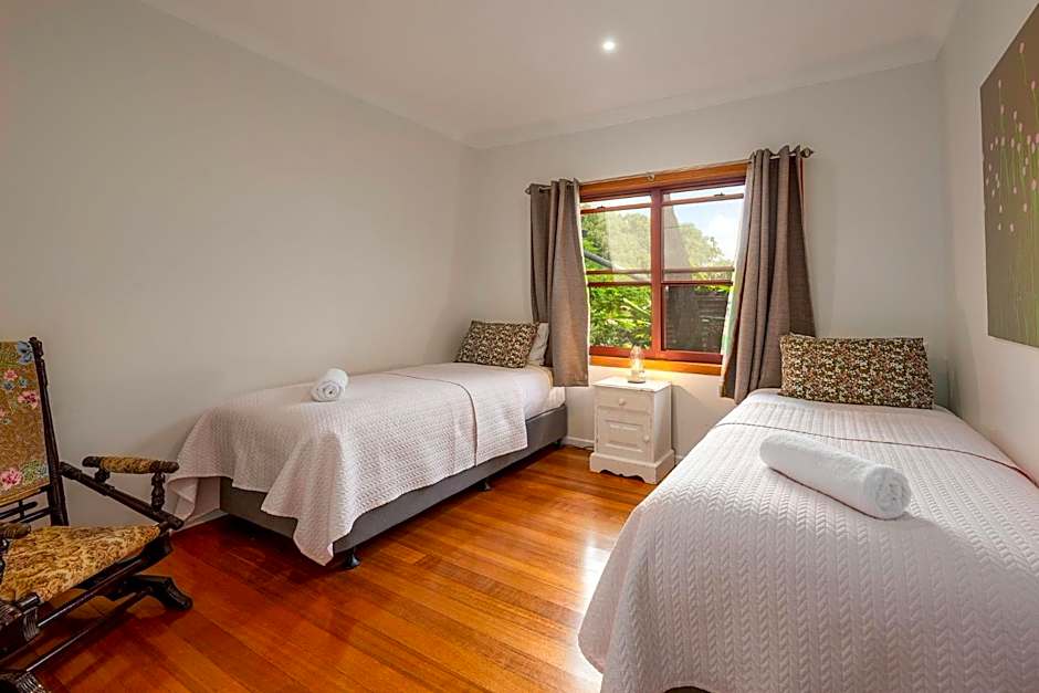 Cedia at Byron Bay Hinterland