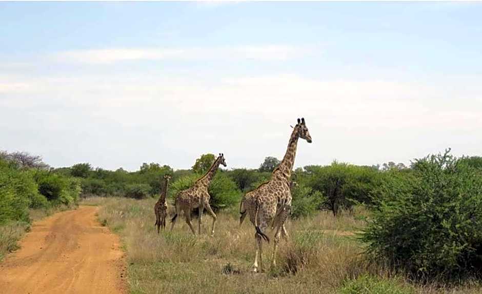 42@ Ditholo Game Lodge