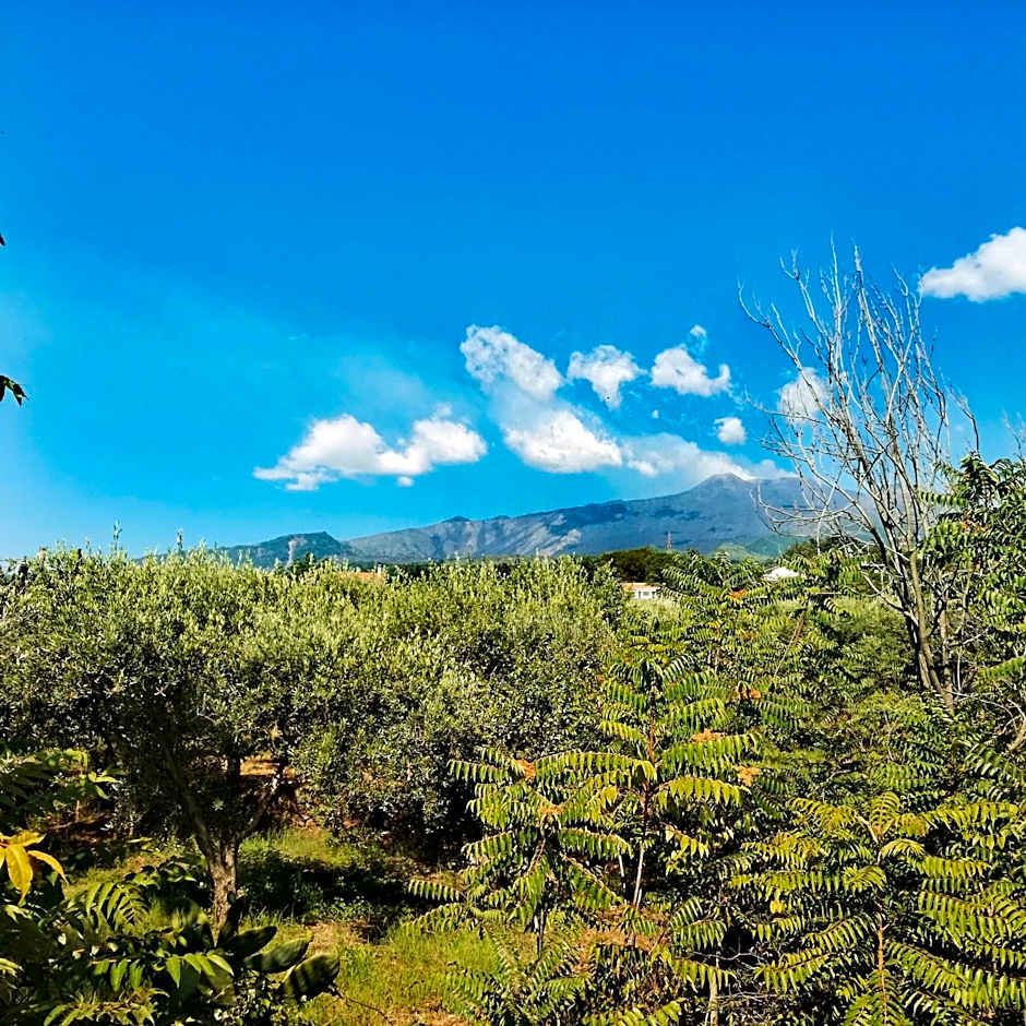 Petralava Etna B&B