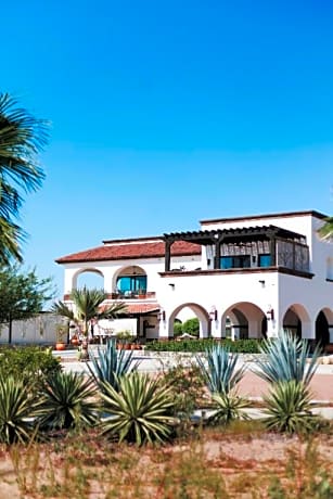 Orchid House Baja La Paz