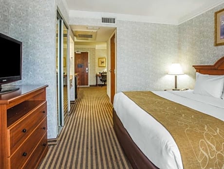 1 King Bed, Suite, Nonsmoking