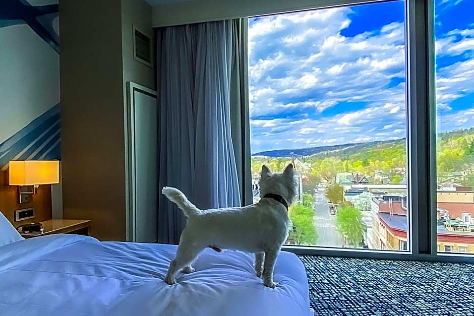Ithaca Marriott Downtown on the Commons