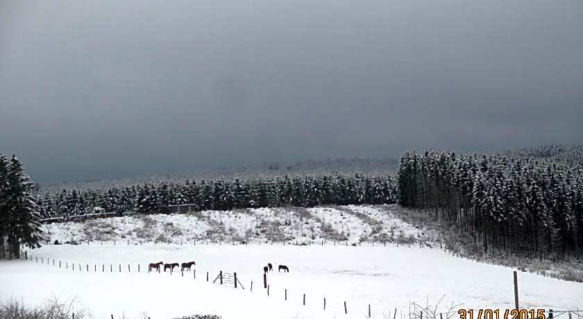 B&B Au fil des saisons sur la Wiels