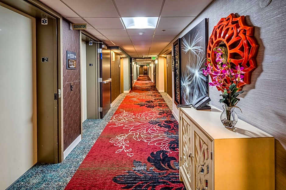 Hampton Inn By Hilton San Francisco-Airport