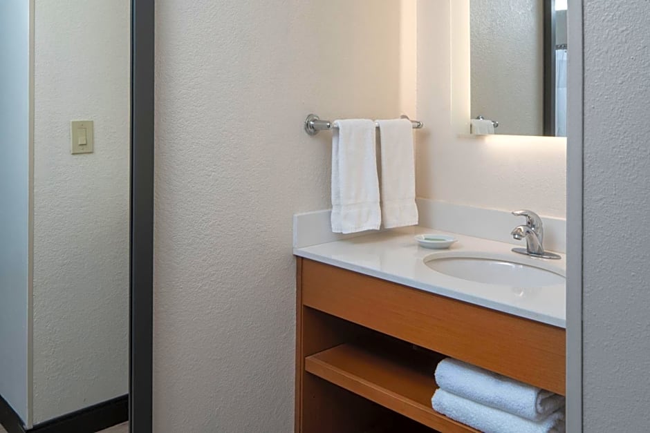 SpringHill Suites by Marriott Charleston Downtown/Riverview