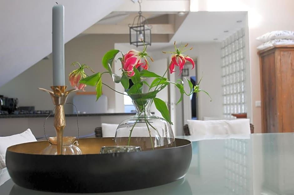 Loft aan Zee Bergen- Schoorl