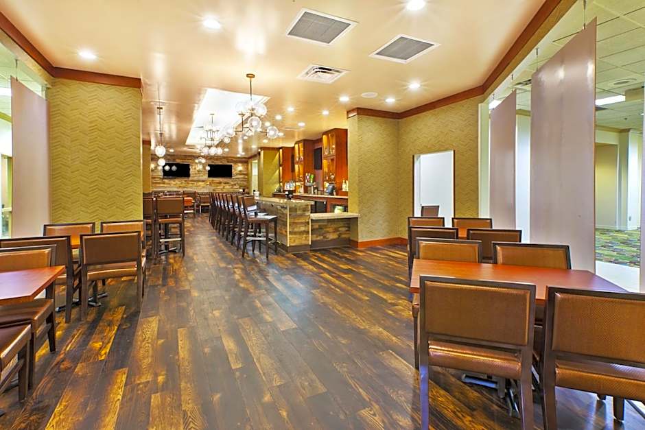 Holiday Inn & Suites Bolingbrook By IHG