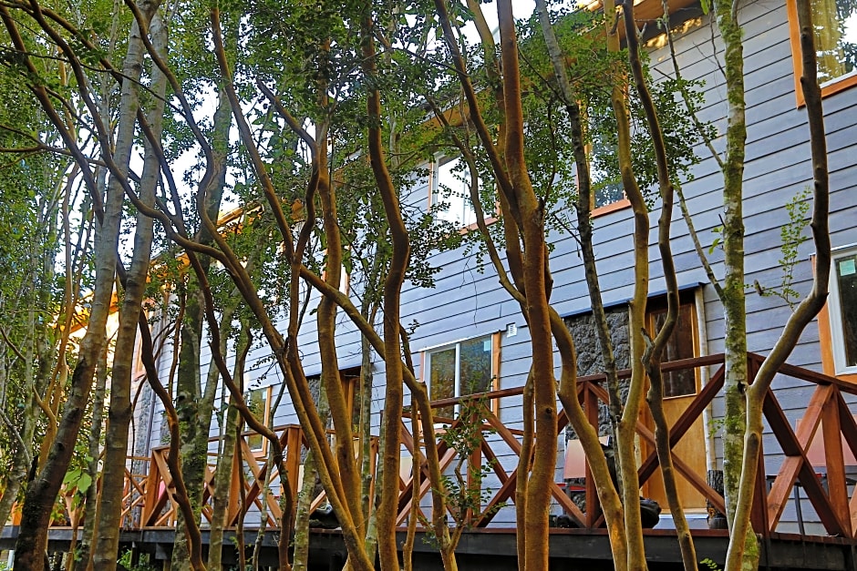 Cabañas Ensenada Bosque Nativo