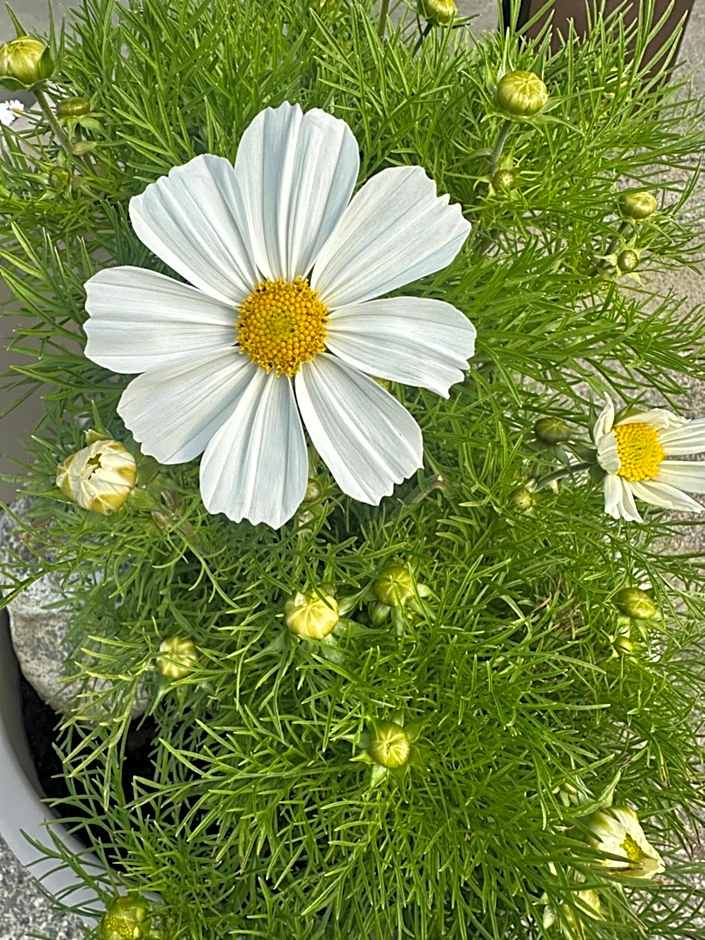 Selvbetjent leilighetshotell på Ålgård