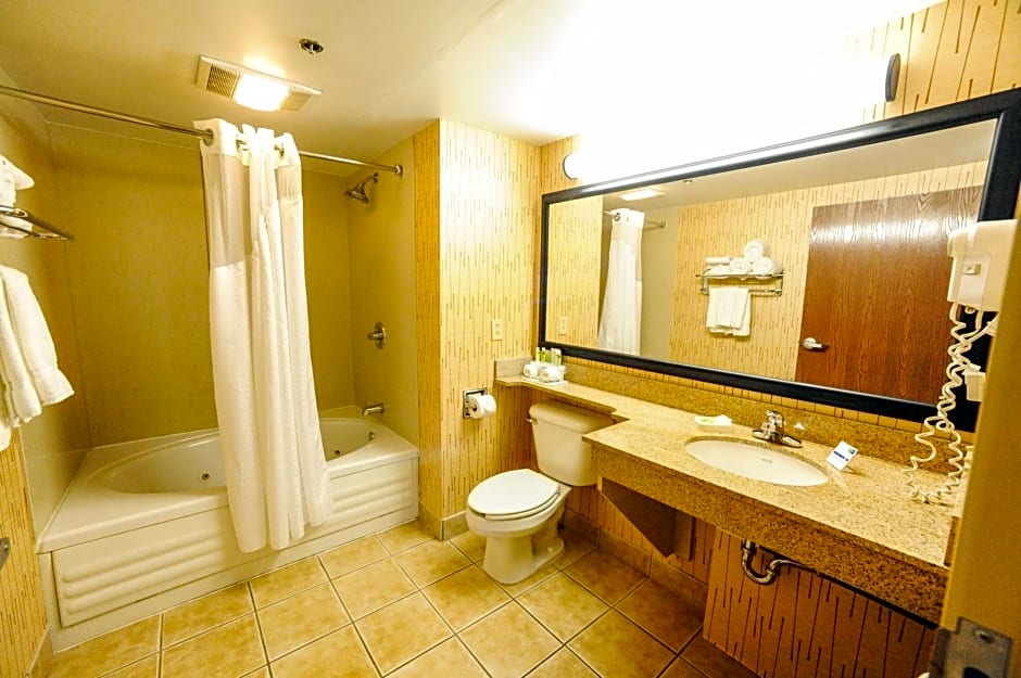 Holiday Inn Express Hotel & Suites Bowling Green By IHG