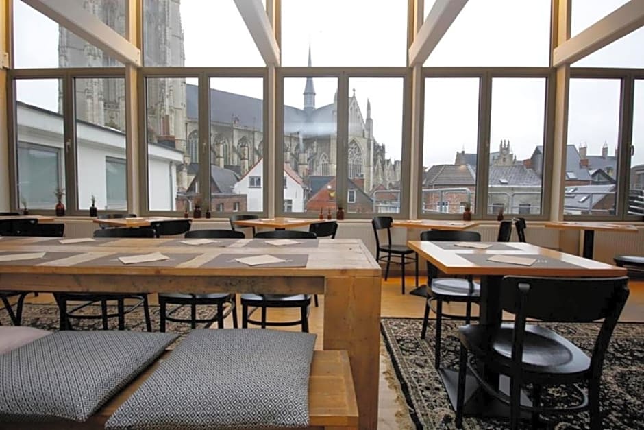 Hotel 3 Paardekens