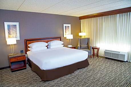 1 King Pure Accessible Room with Tub