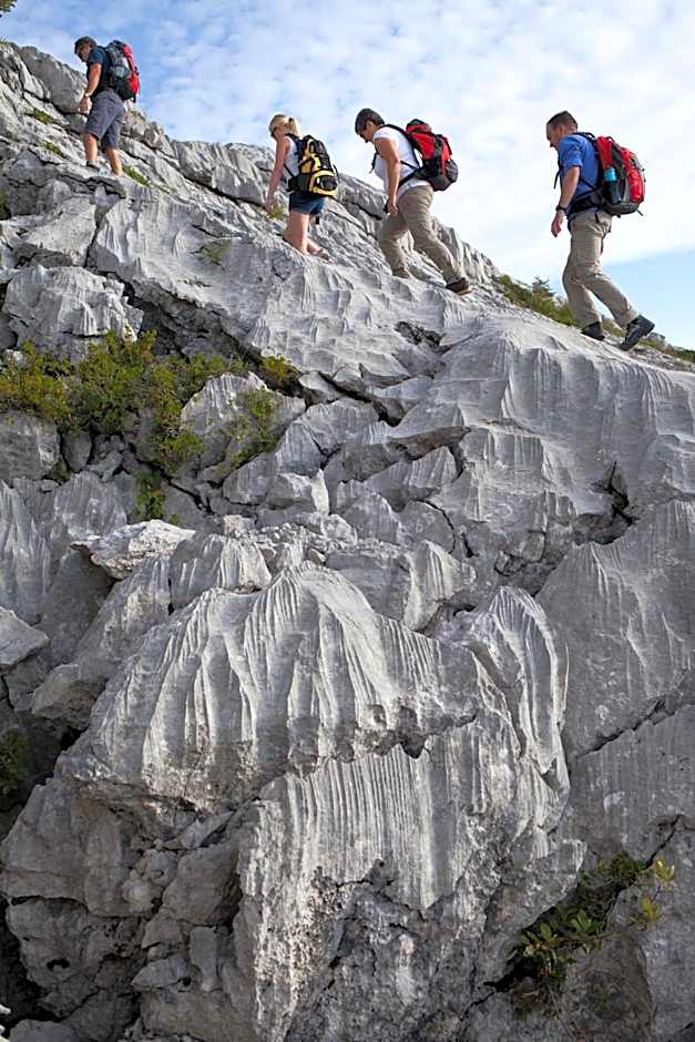 Bergwelten Salwideli