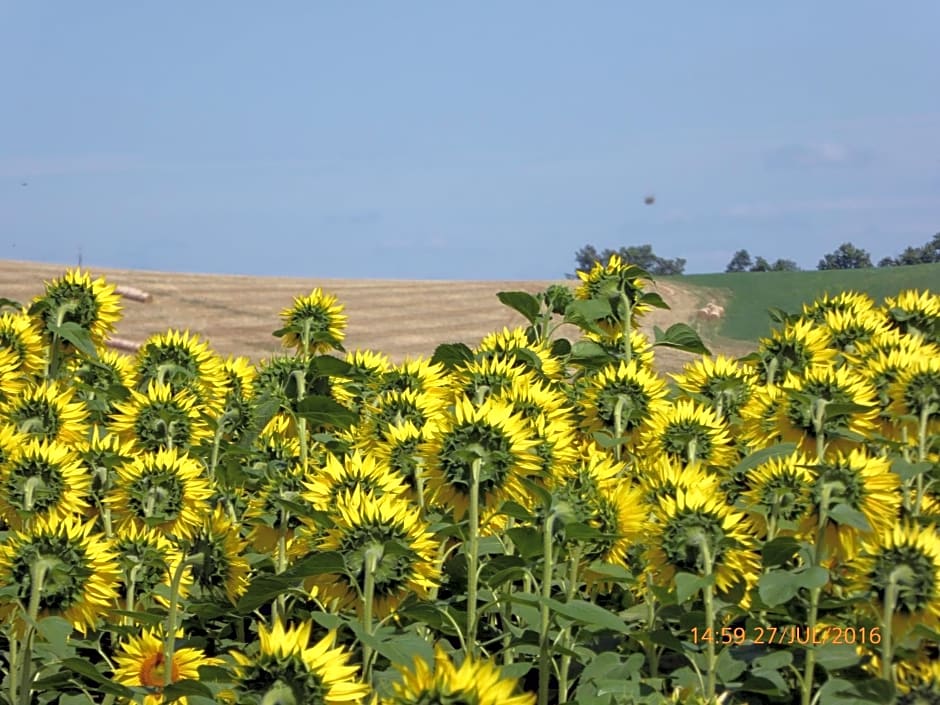 residence la Salamandre kamers