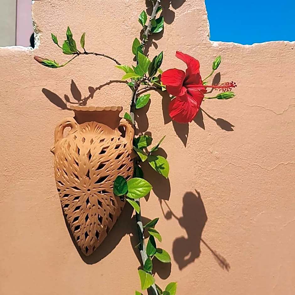 Chambres d'Hôtes les amis