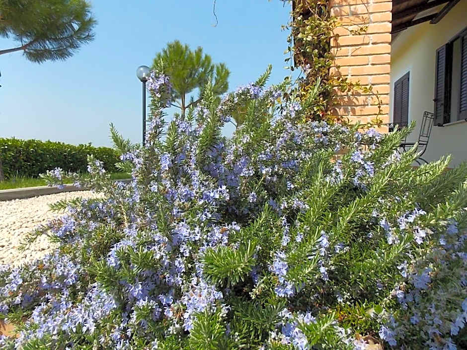 Residence Terra Dei Santi Country House