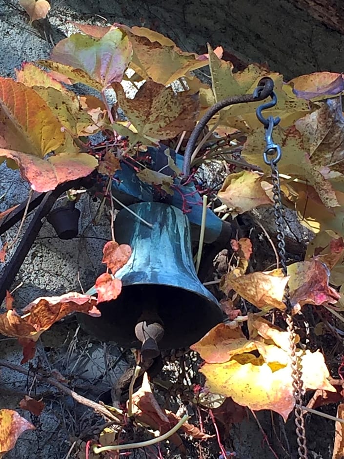 Saint Sever des Pyrenees