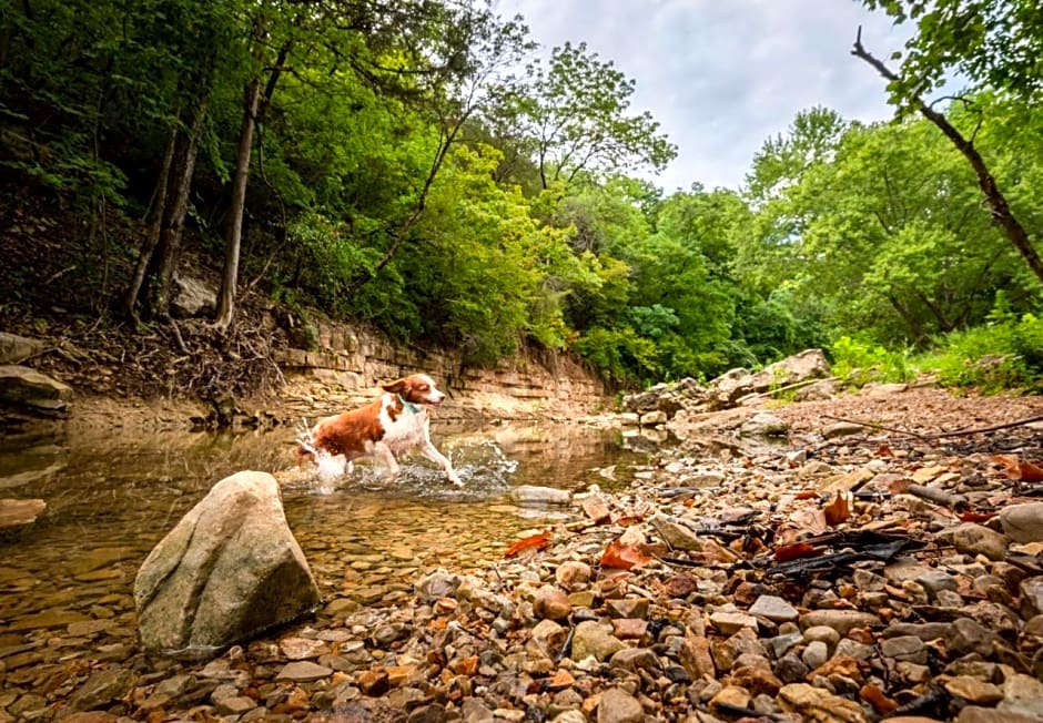 The Ozarker Lodge