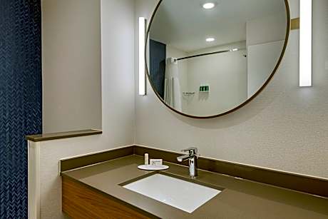 Suite, 1 King Bed with Sofa bed (Hearing Accessible) (1 King Bed and 1 Double Sofa Bed)