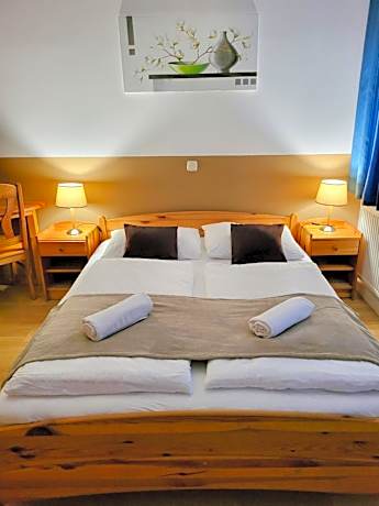 Deluxe Double or Twin Room with River View