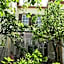 LOTUS GARDEN HOSTEL