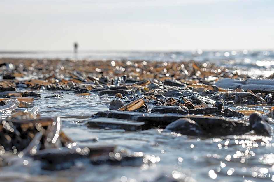 Hotel Steeds aan Zee