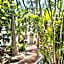 El Eden Escondido