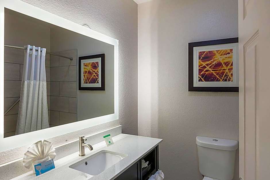 Comfort Suites Lewisville - Dallas