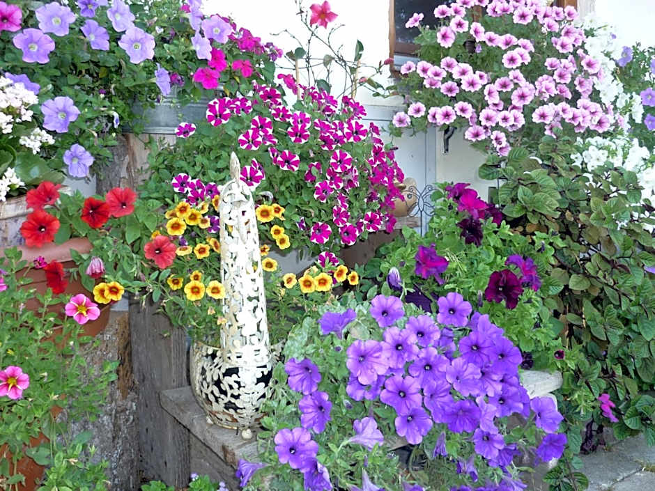 Der Blankhof "Back to Roots"