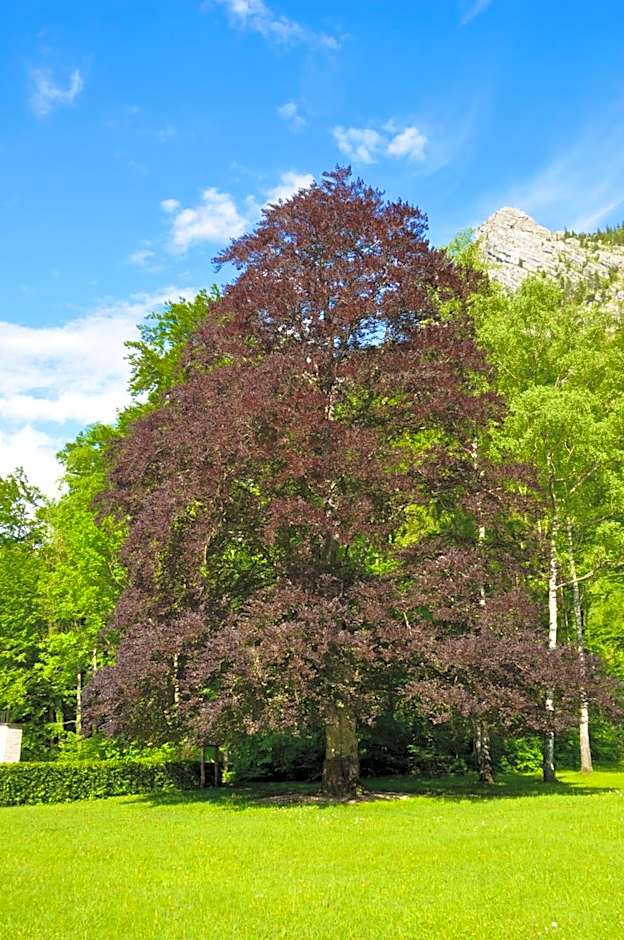 See-Hotel Post am Attersee
