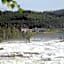 Hotell Storforsen