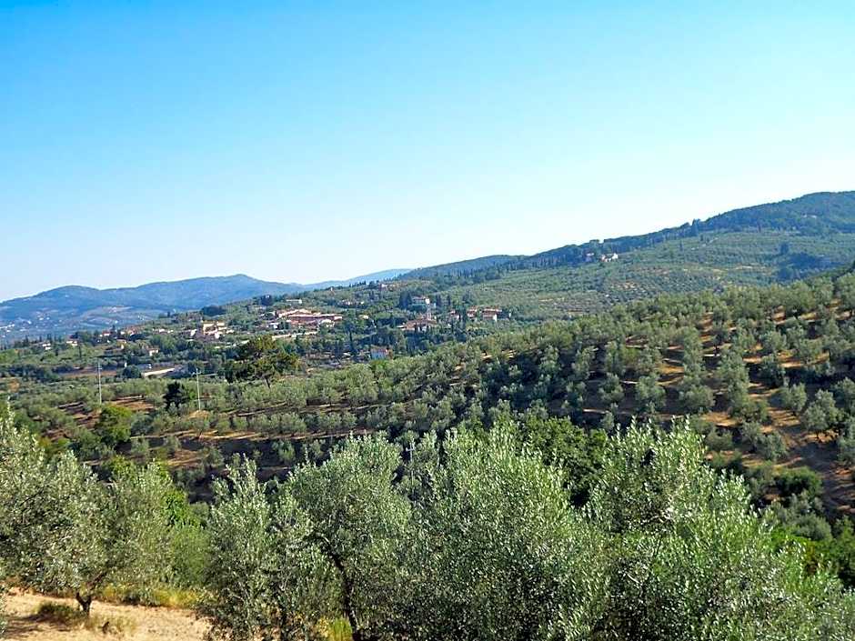 Agriturismo Il Colle