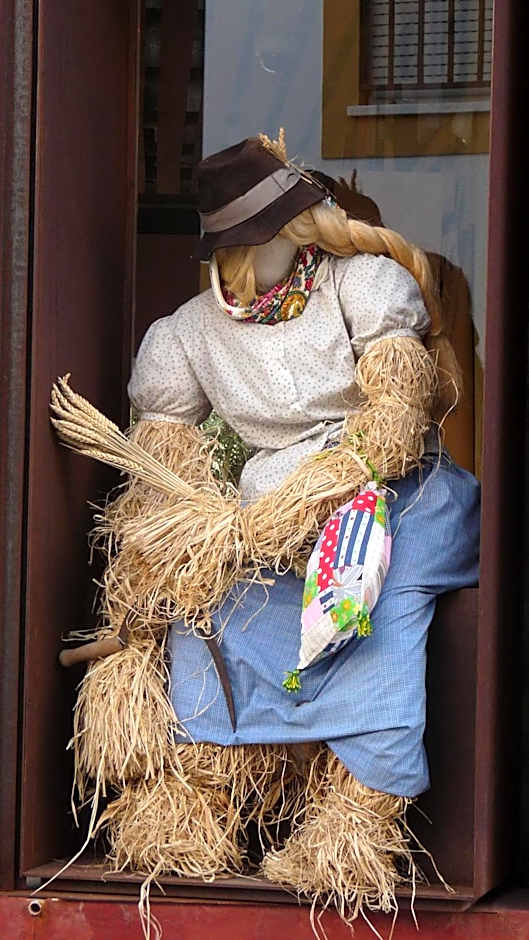 Born To Stay In Milfontes