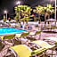 Holiday Inn Express & Suites St. Petersburg - Seminole Area By IHG
