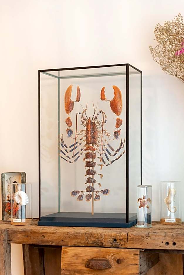 Maison Triton et Porcelaine