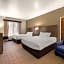 Comfort Inn & Suites In Fenton