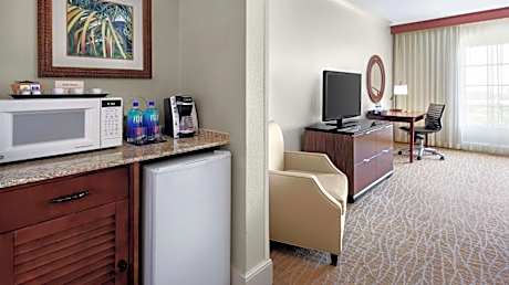 One-Bedroom King Suite with Sofa Bed
