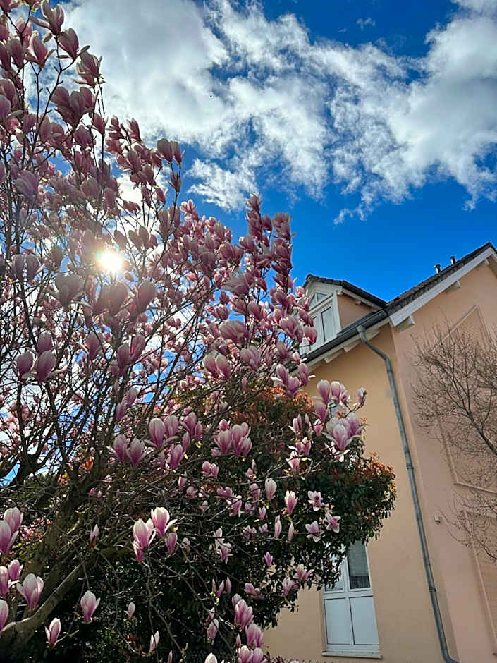 Astralis Hotel Domizil