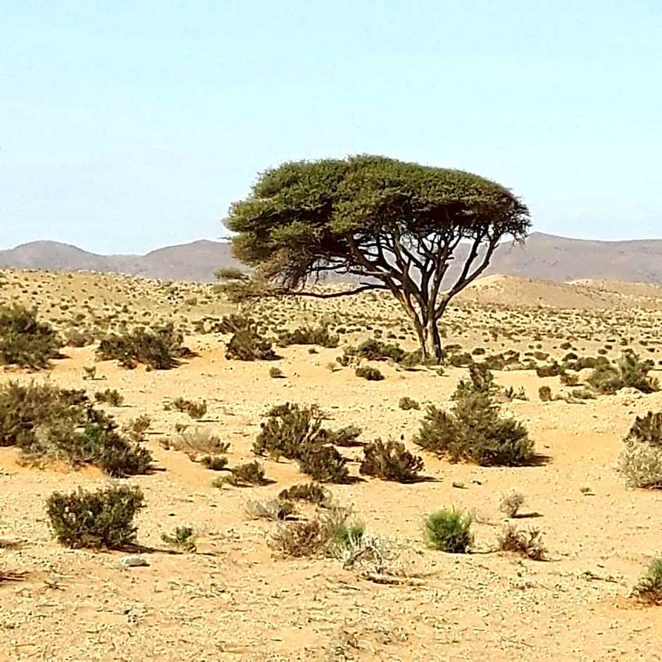 Auberge Aain Nakhla