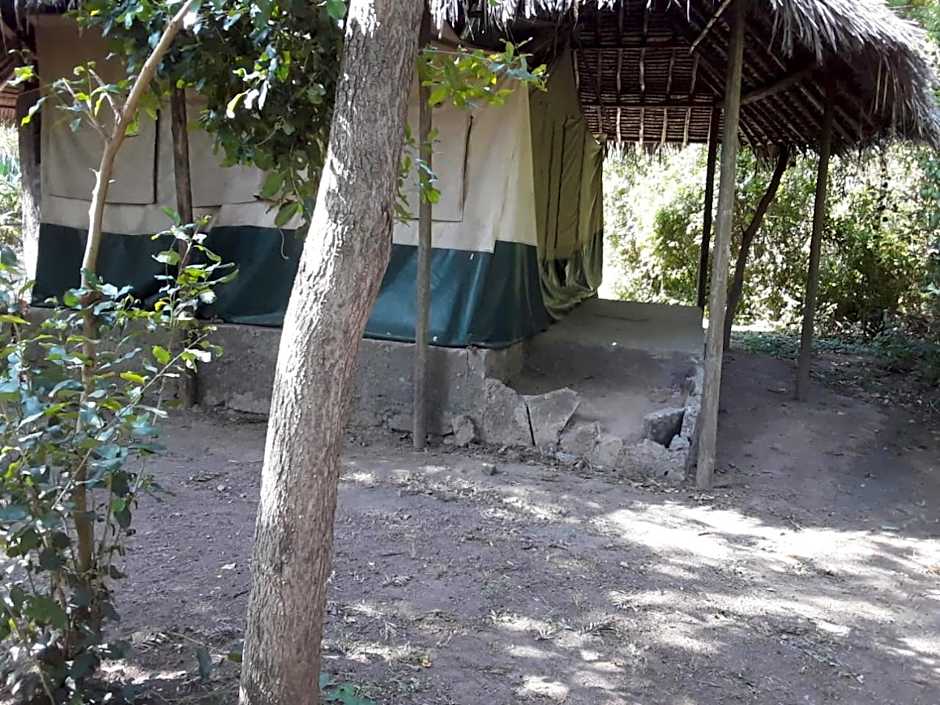 Cactus Eco Camp and Lodge