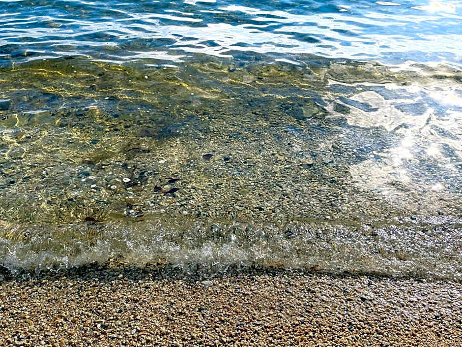 Pension B,B, Dylan - Vacation STAY 22453v