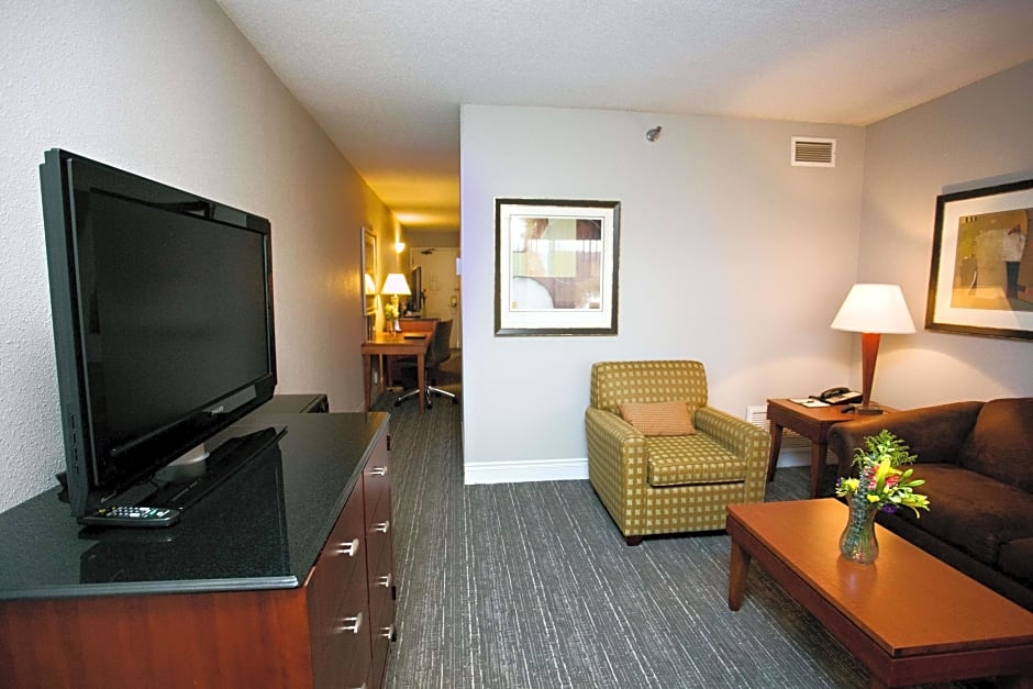 Photo 1 of 9 of 1 Bedroom 1 King Bed with Sofabed Suite