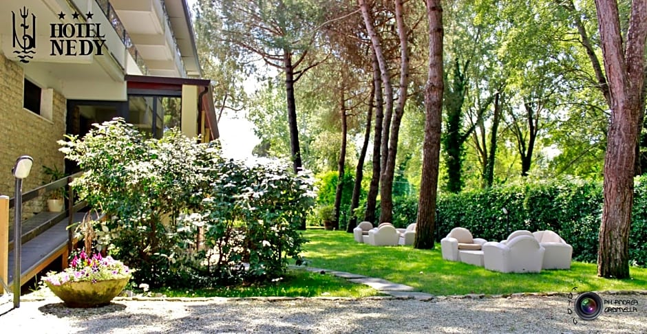 Hotel Nedy