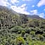 Ibex Resorts, Valparai Mistly