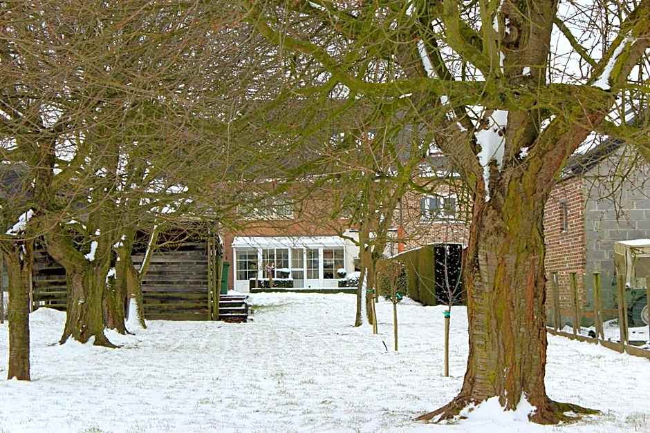 B&B Den Boomgaard Moorsel