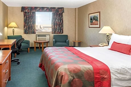 1 King Bed Non-Smoking