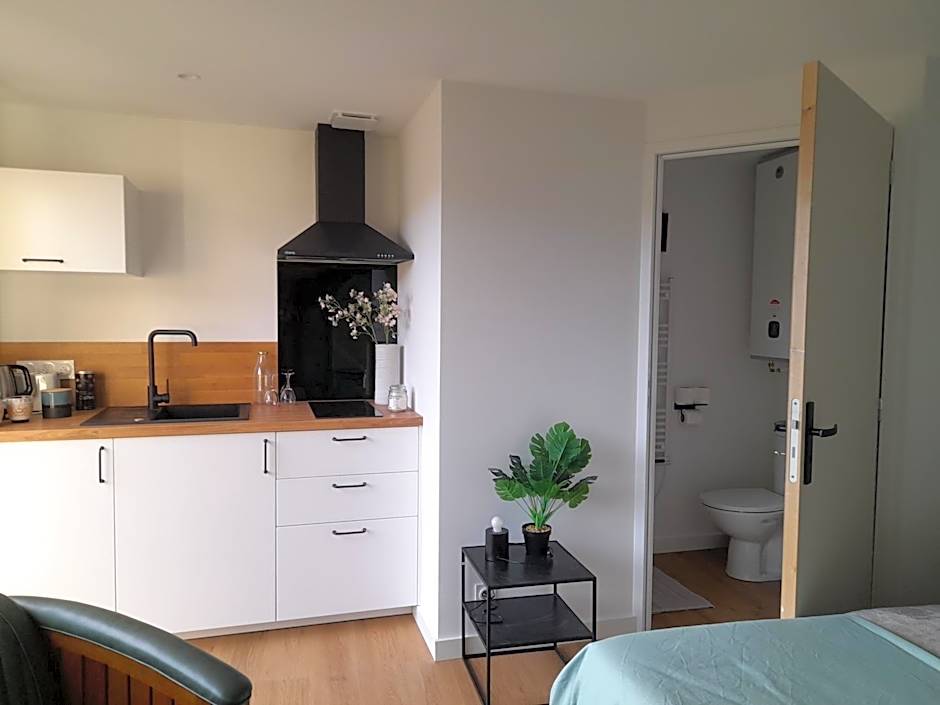 RELAI DU CHATEAU APPARTHOTEL